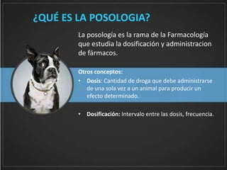 ¿QUÉ ES LA POSOLOGIA?
La posología es la rama de la Farmacología
que estudia la dosificación y administracion
de fármacos.
Otros conceptos:
• Dosis: Cantidad de droga que debe administrarse
de una sola vez a un animal para producir un
efecto determinado.
• Dosificación: Intervalo entre las dosis, frecuencia.
 