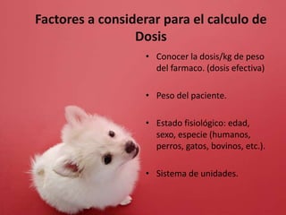 Factores a considerar para el calculo de
Dosis
• Conocer la dosis/kg de peso
del farmaco. (dosis efectiva)
• Peso del paciente.
• Estado fisiológico: edad,
sexo, especie (humanos,
perros, gatos, bovinos, etc.).
• Sistema de unidades.
 