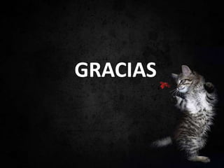 GRACIAS
 