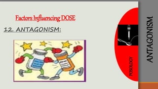 ANTAGONISM
FactorsInfluencingDOSE
12. ANTAGONISM:
POSOLOGY
 