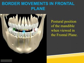 BORDER MOVEMENTS IN FRONTAL
PLANE
Postural position
of the mandible
when viewed in
the Frontal Plane.
 
