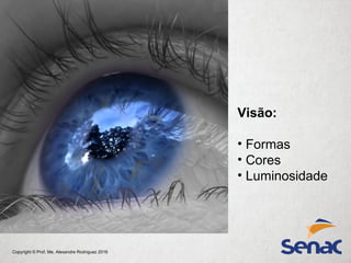 Copyright © Prof. Me. Alexandre Rodriguez 2016
Visão:
• Formas
• Cores
• Luminosidade
 