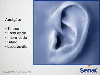 Copyright © Prof. Me. Alexandre Rodriguez 2016
Audição:
• Timbre
• Frequência
• Intensidade
• Ritmo
• Localização
 