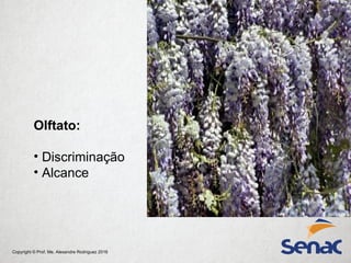 Copyright © Prof. Me. Alexandre Rodriguez 2016
Olftato:
• Discriminação
• Alcance
 