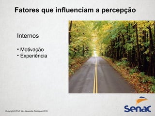 Copyright © Prof. Me. Alexandre Rodriguez 2016
Fatores que influenciam a percepção
Internos
• Motivação
• Experiência
 