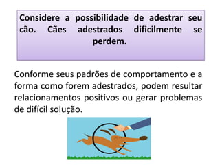 Considere a possibilidade de adestrar seu
 cão. Cães adestrados dificilmente se
                 perdem.


Conforme seus padrões de comportamento e a
forma como forem adestrados, podem resultar
relacionamentos positivos ou gerar problemas
de difícil solução.
 
