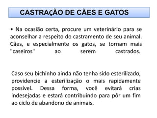 CASTRAÇÃO DE CÃES E GATOS

• Na ocasião certa, procure um veterinário para se
aconselhar a respeito do castramento de seu animal.
Cães, e especialmente os gatos, se tornam mais
"caseiros"       ao         serem        castrados.


Caso seu bichinho ainda não tenha sido esterilizado,
providencie a esterilização o mais rapidamente
possível. Dessa forma, você evitará crias
indesejadas e estará contribuindo para pôr um fim
ao ciclo de abandono de animais.
 