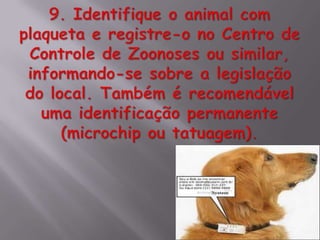 Posse responsavel 19 5 c  ok