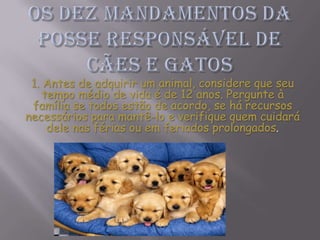 1. Antes de adquirir um animal, considere que seu
    tempo médio de vida é de 12 anos. Pergunte à
 família se todos estão de acordo, se há recursos
necessários para mantê-lo e verifique quem cuidará
     dele nas férias ou em feriados prolongados.
 