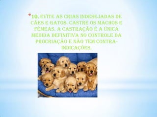 *10. Evite as crias indesejadas de
cães e gatos. Castre os machos e
 fêmeas. A castração é a única
medida definitiva no controle da
 procriação e não tem contra-
          indicações.
 