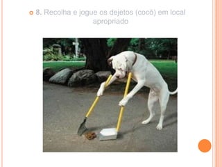    8. Recolha e jogue os dejetos (cocô) em local
                     apropriado
 