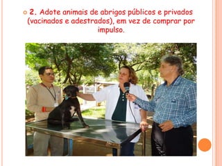 2. Adote animais de abrigos públicos e privados
(vacinados e adestrados), em vez de comprar por
                    impulso.
 