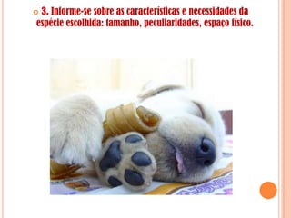 3. Informe-se sobre as características e necessidades da
espécie escolhida: tamanho, peculiaridades, espaço físico.
 