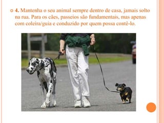    4. Mantenha o seu animal sempre dentro de casa, jamais solto
    na rua. Para os cães, passeios são fundamentais, mas apenas
    com coleira/guia e conduzido por quem possa contê-lo.
 