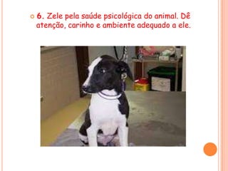    6. Zele pela saúde psicológica do animal. Dê
    atenção, carinho e ambiente adequado a ele.
 