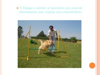    7. Eduque o animal, se necessário, por meio de
    adestramento, mas respeite suas características.
 