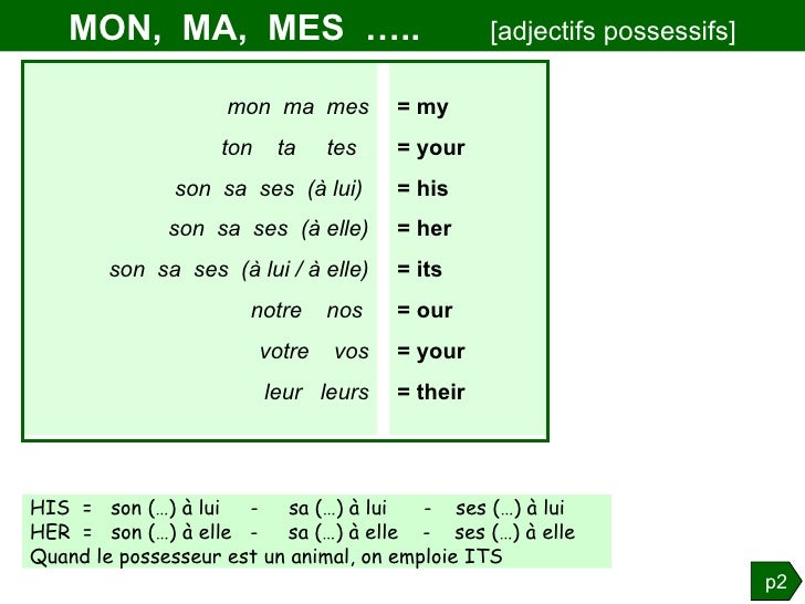 Grammaire anglaise : la Possession
