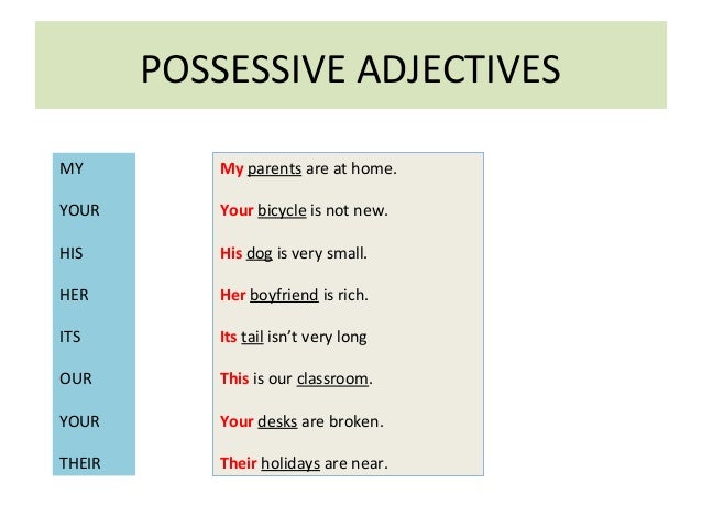 POSSESSIVE ADJECTIVES 
MY 
YOUR 
HIS 
HER 
ITS 
OUR 
YOUR 
THEIR 
My parents are at home. 
Your bicycle is not new. 
His d...