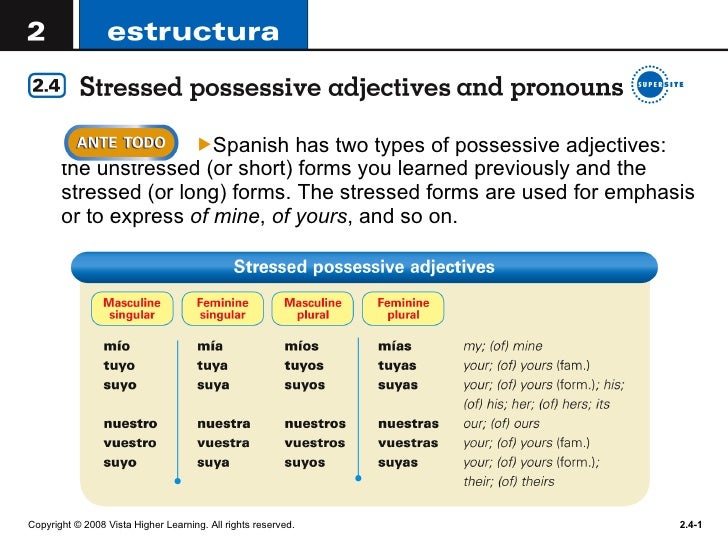 possessive adjectives long form possessive adjectives