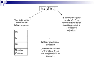 his shirt This determines which of the following to use: Is this masculine or feminine? (Remember that this only matters if you are using nuestro or vuestro .) Is the word singular or plural? This determines whether to add an –s to the possessive adjective. Nuestro Vuestro su tu mi
