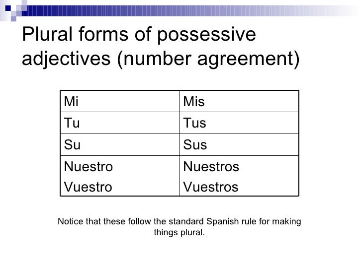 spanish possessive adjectives spanish possessive adjectives chart