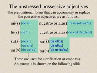 Possessive adjectives | PPT