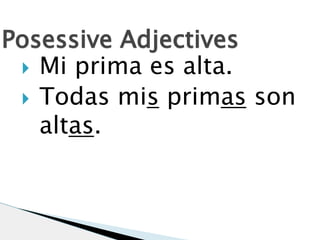 Posessive Adjectives 
 Mi prima es alta. 
 Todas mis primas son 
altas. 
 