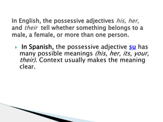 In English, the possessive adjectives his, her, 
and their tell whether something belongs to a 
male, a female, or more than one person. 
 In Spanish, the possessive adjective su has 
many possible meanings (his, her, its, your, 
their). Context usually makes the meaning 
clear. 
 