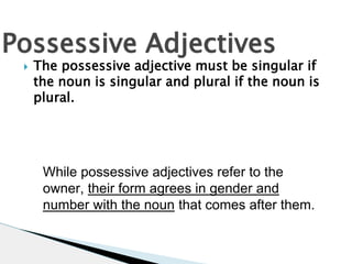 Possessive Adjectives 
 The possessive adjective must be singular if 
the noun is singular and plural if the noun is 
plural. 
While possessive adjectives refer to the 
owner, their form agrees in gender and 
number with the noun that comes after them. 
 
