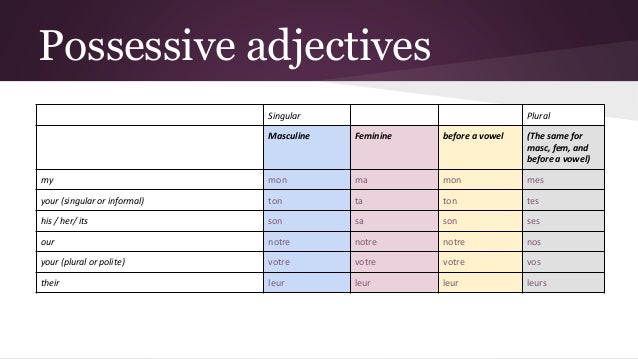 French possessive adjectives