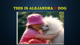 THIS IS ALEJANDRA’S DOG
 
