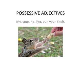 POSSESSIVE ADJECTIVES
My, your, his, her, our, your, their.

 
