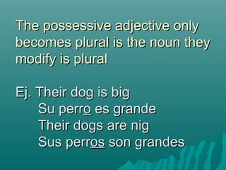 The possessive adjective only
becomes plural is the noun they
modify is plural

Ej. Their dog is big
    Su perro es grande
    Their dogs are nig
    Sus perros son grandes
 