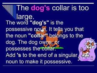 The dog's collar is too
large.
The word "dog's" is the
possessive noun. It tells you that
the noun "collar" belongs to the
dog. The dog owns, or
possesses the collar.
Add 's to the end of a singular
noun to make it possessive.
 