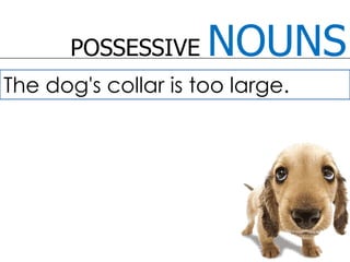 POSSESSIVE NOUNSThe dog's collar is too large.