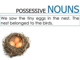 POSSESSIVE NOUNSWe saw the tiny eggs in the nest. The nest belonged to the birds. 
