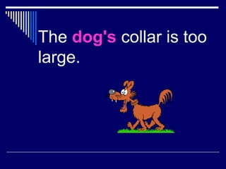 The dog's collar is too
large.
 