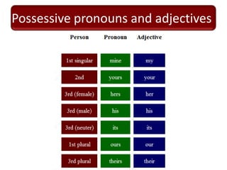 Possessive pronouns and adjectives
 