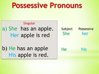 Singular
a) She has an apple.   Subject   Possessive

    Her apple is red   She         her


b) He has an apple     He         his
   His apple is red.
 