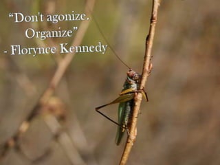 “Don't agonize. Organize”    - Florynce Kennedy