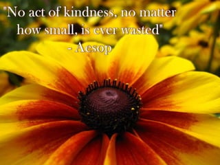 "No act of kindness, no matter how small, is ever wasted"- Aesop