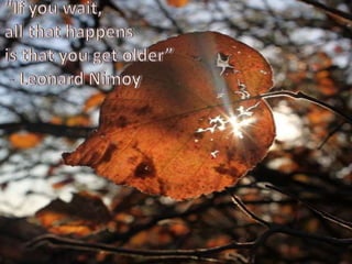 “If you wait, all that happens is that you get older” - Leonard Nimoy