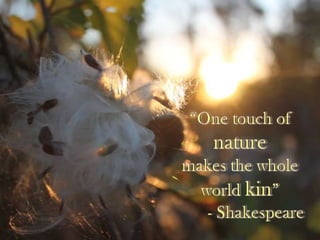 “One touch of naturemakes the whole world kin” 	- Shakespeare