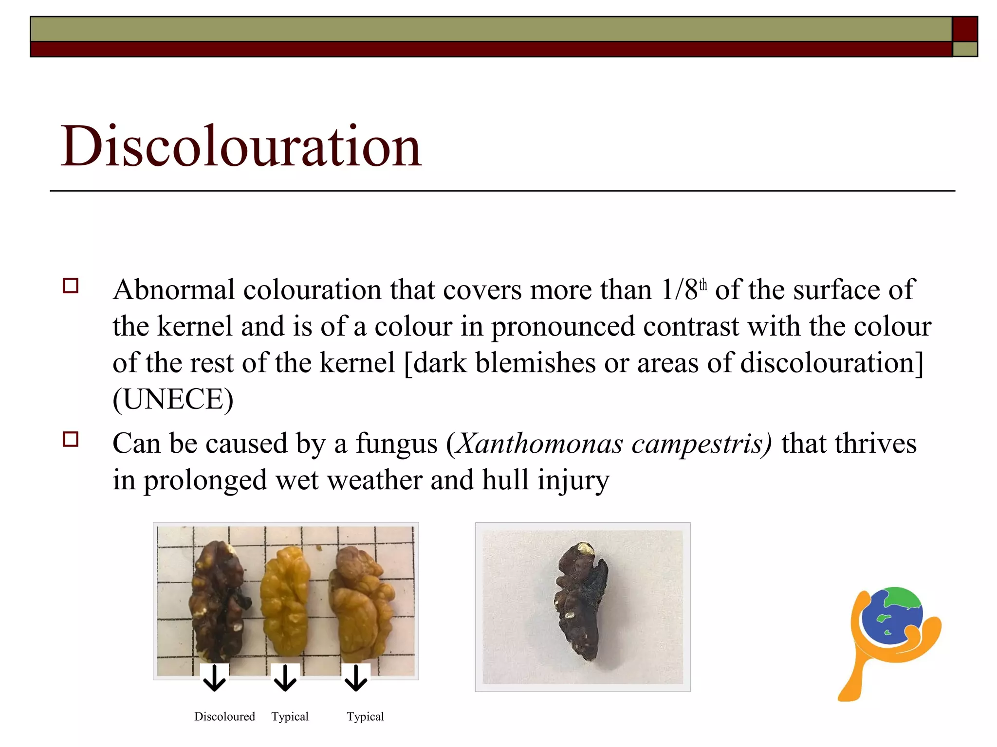 Discolouration
 Abnormal colouration that covers more than 1/8th
of the surface of
the kernel and is of a colour in pronounced contrast with the colour
of the rest of the kernel [dark blemishes or areas of discolouration]
(UNECE)
 Can be caused by a fungus (Xanthomonas campestris) that thrives
in prolonged wet weather and hull injury
Discoloured Typical Typical
 