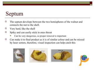 Possible defects | PPT