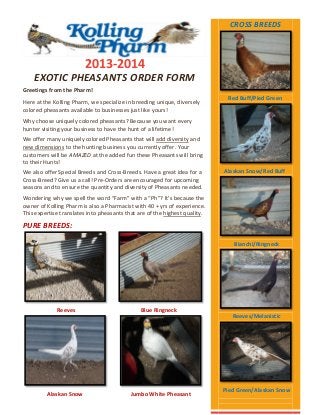 CROSS BREEDS

2013-2014
EXOTIC PHEASANTS ORDER FORM
Greetings from the Pharm!
Here at the Kolling Pharm, we specialize in breeding unique, diversely
colored pheasants available to businesses just like yours!

Red Buff/Pied Green

Why choose uniquely colored pheasants? Because you want every
hunter visiting your business to have the hunt of a lifetime!
We offer many uniquely colored Pheasants that will add diversity and
new dimensions to the hunting business you currently offer. Your
customers will be AMAZED at the added fun these Pheasants will bring
to their Hunts!
We also offer Special Breeds and Cross-Breeds. Have a great idea for a
Cross-Breed? Give us a call! Pre-Orders are encouraged for upcoming
seasons and to ensure the quantity and diversity of Pheasants needed.

Alaskan Snow/Red Buff

Wondering why we spell the word “Farm” with a “Ph”? It’s because the
owner of Kolling Pharm is also a Pharmacist with 40 + yrs of experience.
This expertise translates into pheasants that are of the highest quality.

PURE BREEDS:
Bianchi/Ringneck

Reeves

Blue Ringneck
Reeves/Melanistic

Alaskan Snow

Jumbo White Pheasant

Pied Green/Alaskan Snow

 