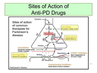 Sites of Action of
Anti-PD Drugs
18
 