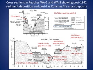 Cross sections in Reaches WA-2 and WA-3 showing post-1942
sediment deposition and post-Las Conchas fire muck deposits
                                                                 23 of 58 cm post-fire sed (f1s)
   CG ashy si-fs




                                                                                            10 of 10 cm
                                                                                            post-fire sed (f2)

                                                                ~58 of 123 cm
                                           ~58 of 123 cm        post-fire sed (f1)
                                           post-fire sed (c2)

                                                                               CG ashy si
               CG ashy si                                                                   LM(?) ashy vfs
                                                                 CG ashy si at base
                                                                LM deposit at base
         17 of 127 cm post-fire sed (c3)
 