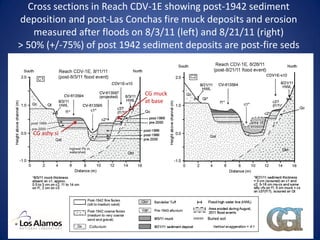 Cross sections in Reach CDV-1E showing post-1942 sediment
deposition and post-Las Conchas fire muck deposits and erosion
   measured after floods on 8/3/11 (left) and 8/21/11 (right)
> 50% (+/-75%) of post 1942 sediment deposits are post-fire seds



                            CG muck
                            at base




   CG ashy si
 