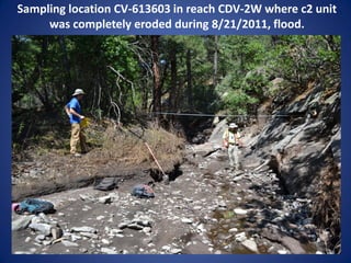 Sampling location CV-613603 in reach CDV-2W where c2 unit
     was completely eroded during 8/21/2011, flood.
 